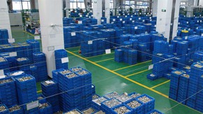 U-Warehouse U-Warehouse